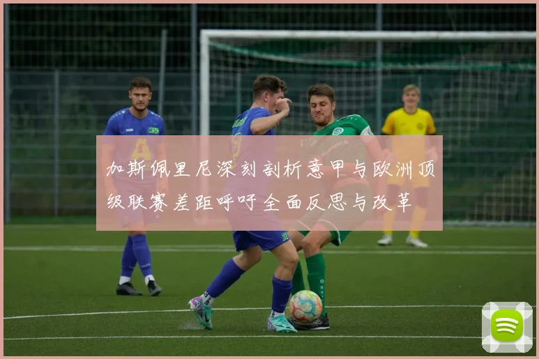 加斯佩里尼深刻剖析意甲与欧洲顶级联赛差距呼吁全面反思与改革